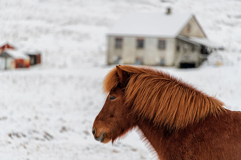 3D Printed Lithophane Night Lighting Dusk To Dawn LED Light Photography Decor
