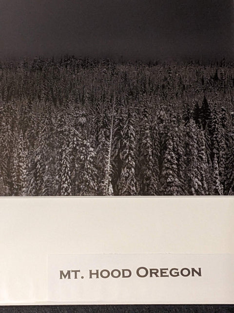 Photograph Mount Hood Oregon Mountains Forest Winter Scenic 12x16 matted Art