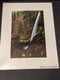 Photograph Silver Falls Oregon Waterfalls Forest Scenic 12x16 matted Art