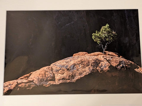 Photograph Black Canyon of the Gunnison National Park Colorado 12x16 matted Art