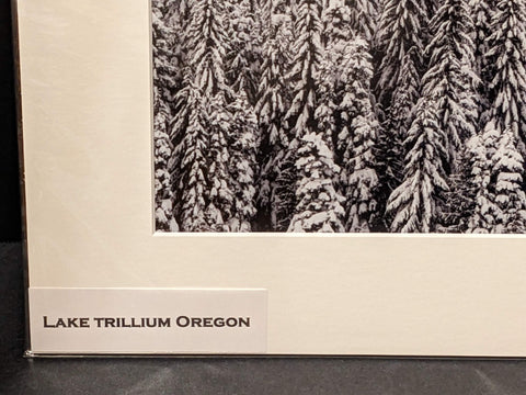 Photograph Winter Forest at Lake Trillium Oregon Trees Scenic 12x16 Matted Art